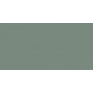ELITE OCEAN GREEN 60Х120 5ММ MATT