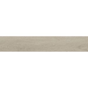 FOREST ARGENT 20X120 MATT
