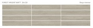 FOREST ARGENT 20X120 MATT