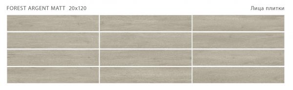 FOREST ARGENT 20X120 MATT