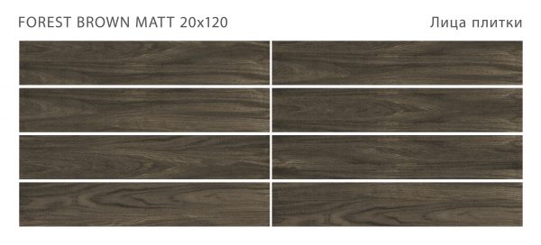 FOREST BROWN 20X120 MATT