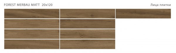 FOREST MERBAU 20X120 MATT