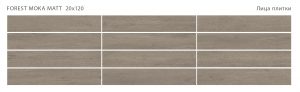FOREST MOKA 20X120 MATT