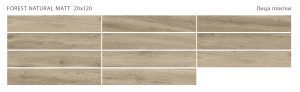 FOREST NATURAL 20X120 MATT