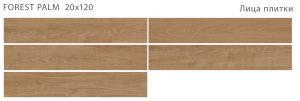 FOREST PALM 20X120 MATT