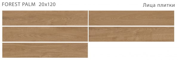 FOREST PALM 20X120 MATT
