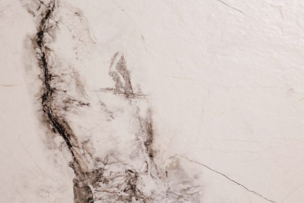 КЕРАМОГРАНИТ REALISTIK CLEO WHITE STONELO CARVING 60X120 — изображение 10