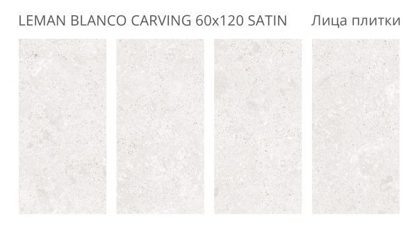 LEMAN BLANCO 60X120 CARVING SATIN