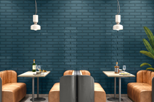 BLUE 10X40