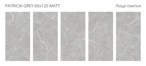 PATRICIA GREY 60X120 MATT