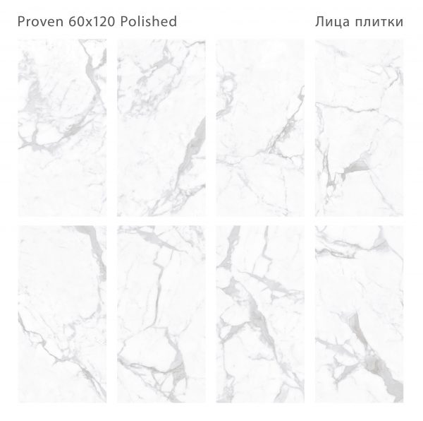 PROVEN 60X120 POLISHED