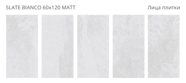 SLATE BIANCO 60X120 MATT