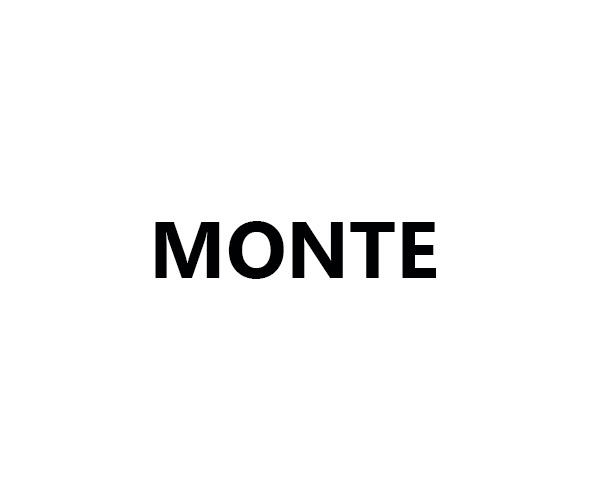 smile tile monte logo