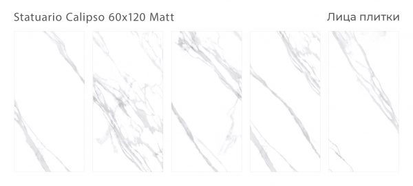 STATUARIO CALIPSO 60X120 MATT — изображение 2