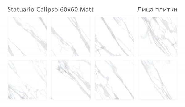 STATUARIO CALIPSO 60Х60 MATT — изображение 2
