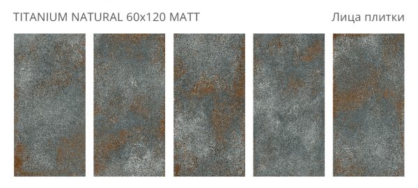 TITANIUM NATURAL 60X120 MATT