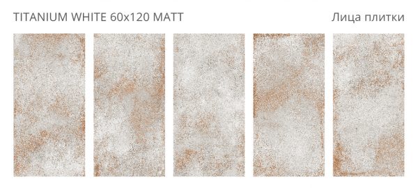 TITANIUM WHITE 60X120 MATT