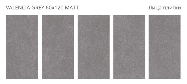 VALENCIA GREY 60X120 MATT