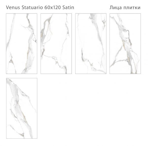 VENUS STATUARIO 60X120 SATIN