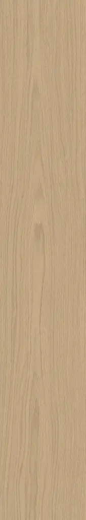 PURE SHEER 20X120 R10-9MM