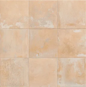 MAINZU LAND ANTHOLOGY CREAM 20x20