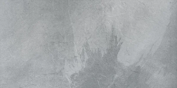 PAMESA RHIN GRIS 60x120