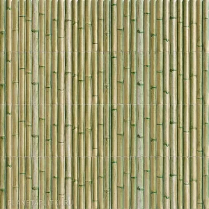 MAINZU BAMBOO GREEN 15x30