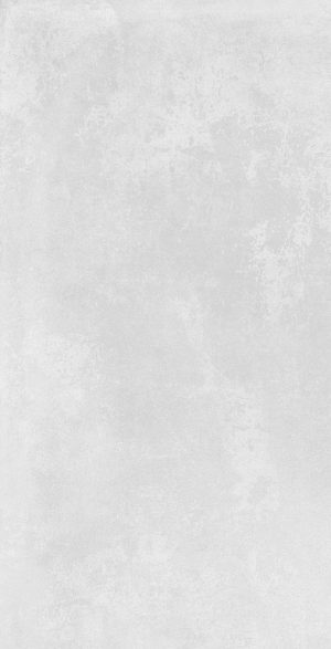 КЕРАМОГРАНИТ AZULEV ORGANIC GREY RC 60X120 (1,44)