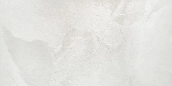 PAMESA RHIN BLANCO 60x120