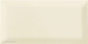 MAINZU PLUS BISSEL VISON 10x20