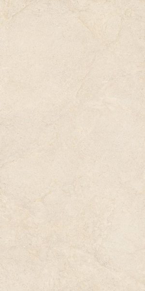 КЕРАМИЧЕСКАЯ ПЛИТКА CC CASHMERE 60X120 RETT