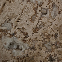 ВСТАВКА КЕРАМИЧ. MARFIL BOTTONE MARMO SCABOS