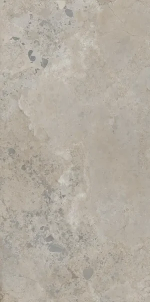 PIETRA VIVA TAUPE 60X120