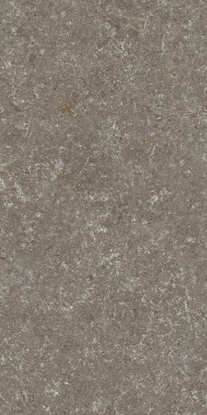 VERITY NATURAL MT RECT. 60X120