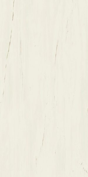 ПЛИТКА НАП. КЕРАМИЧ. MARVEL BIANCO DOLOMITE 60X120 LAPPATO