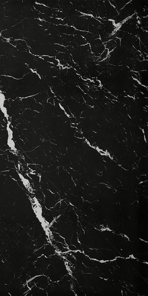 ПЛИТКА НАП. КЕРАМИЧ. ROMA GOLD 60X120 NERO ELEGANTE BRILL