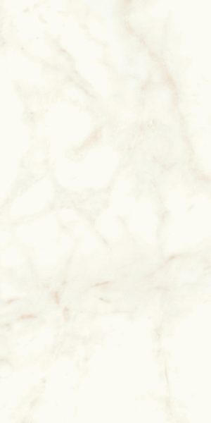 ПЛИТКА НАП. КЕРАМИЧ. MARVEL CALACATTA DELICATO 60X120 MATT