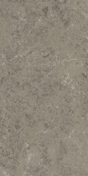ПЛИТКА НАП. КЕРАМИЧ. MARVEL MERAVIGLIA GRIGIO ELEGANTE 60X120 VELVET