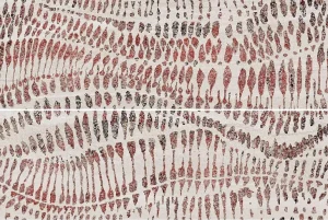 IBERO STRATA DECOR BEIGE (SET 2 PZS) 60x90