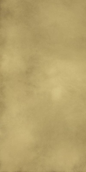 610015000645 КОНТИНУУМ БР.ГОЛД 80X160 ШЛ