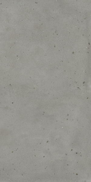 600010001807 АВАНГАРД АЙРОН 120X120 РЕТ