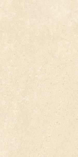 K948598R0001VTER SANDSTONE ПЕСОЧНЫЙ МАТ R10A 60X120