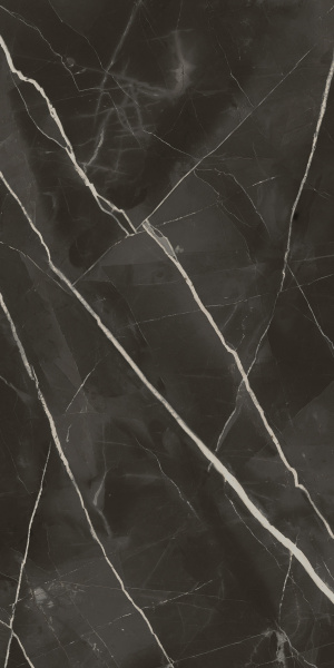 610015000682 СТЕЛЛАРИС АБСОЛЮТ БЛЭК 60X120 ШЛИФ