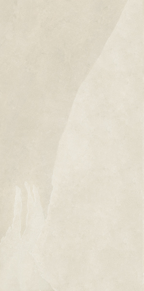 610010002692 АРДЕЗИЯ УАЙТ 60Х120 РЕТ