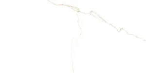 PRISSMACER BIANCO MARE GOLD (LUXGLASS) 60x120