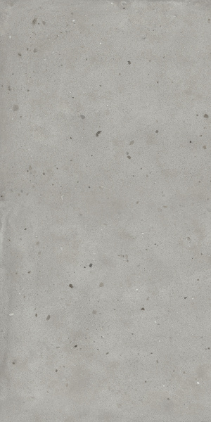 600010001806 АВАНГАРД СИЛЬВЕР 120X120 РЕТ