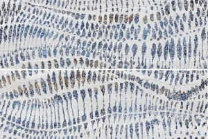 IBERO STRATA DECOR LIGHT (SET 2 PZS) 60x90