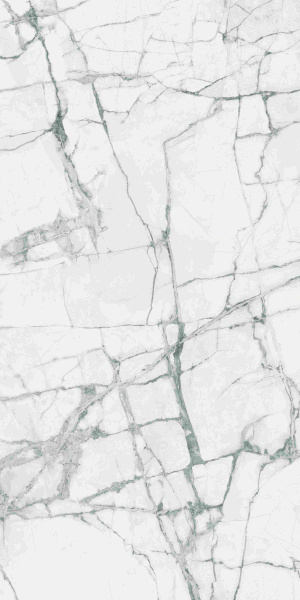 610015000502 ШАРМ ДЕЛЮКС ИНВИЗИБЛ УАЙТ 80X160 ЛЮКС