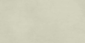 I859 MULTIFORME SALVIA 40Х80 RT