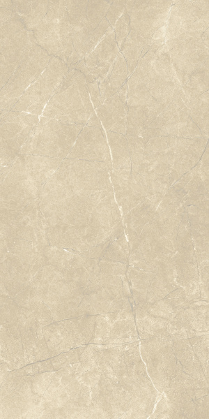 CHARME EXTRA ARCADIA LUX/ШАРМ ЭКС. АРКАДИА ЛЮКС 60Х120 P3